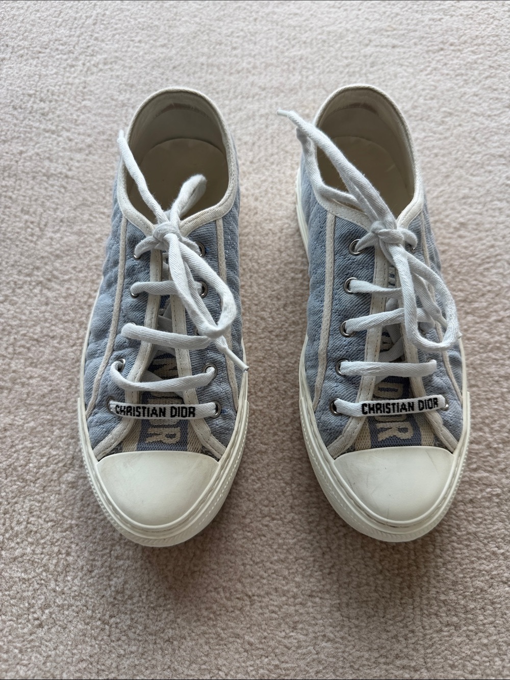 Dior Blue and White Canvas Low-Top Sneaker